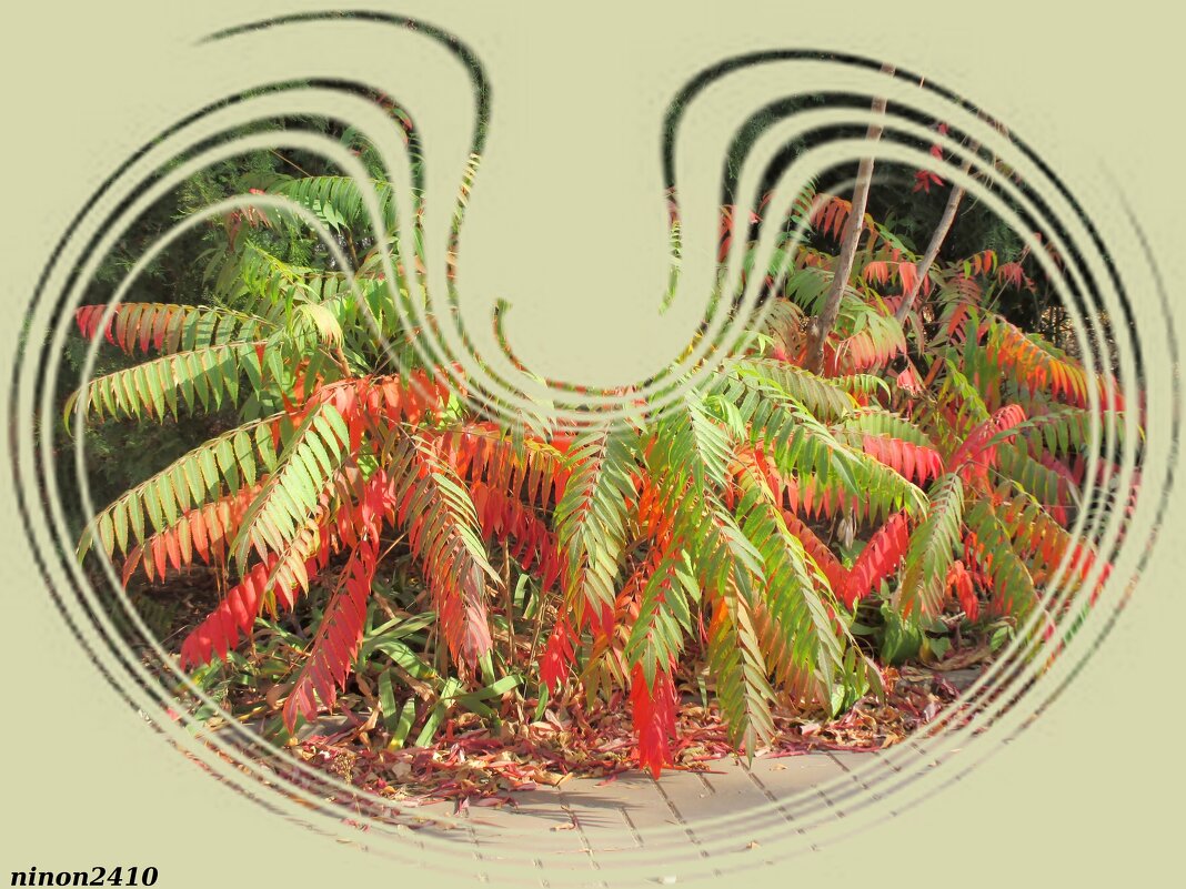 Ростовская осень - Нина Бутко Ростовская осень - Нина Бутко