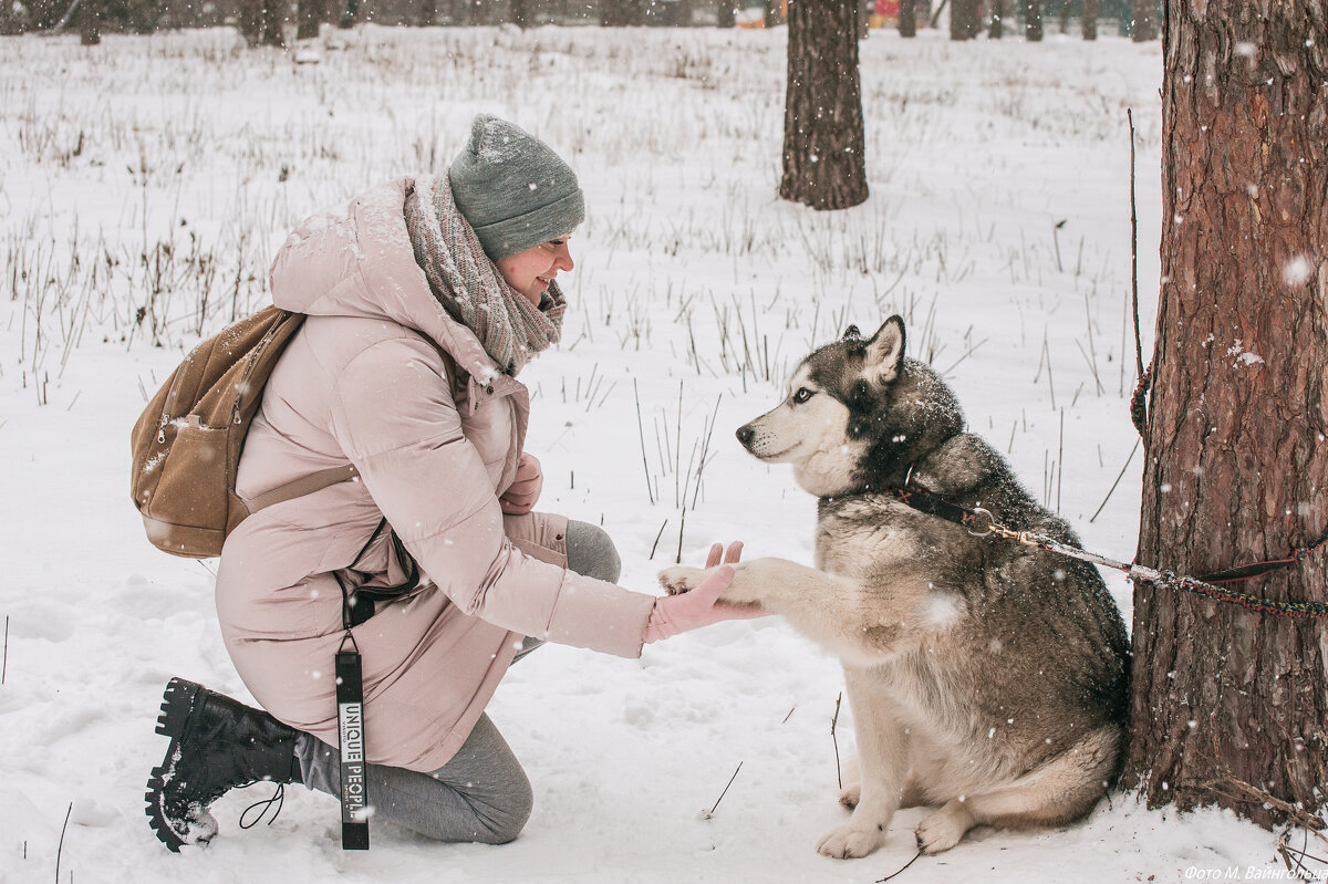 Привет, человек! - Михаил Привет, человек! - Михаил