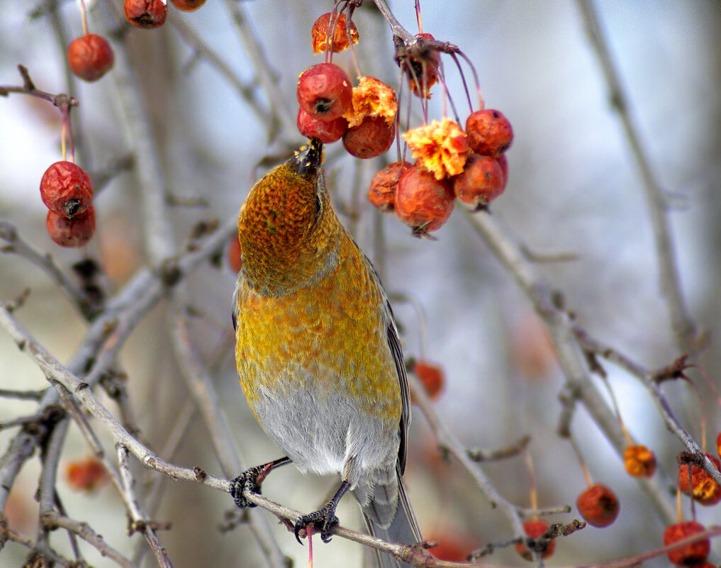 Поворот головы на 180 градусов! - Татьяна Н. Поворот головы на 180 градусов! - Татьяна Н.
