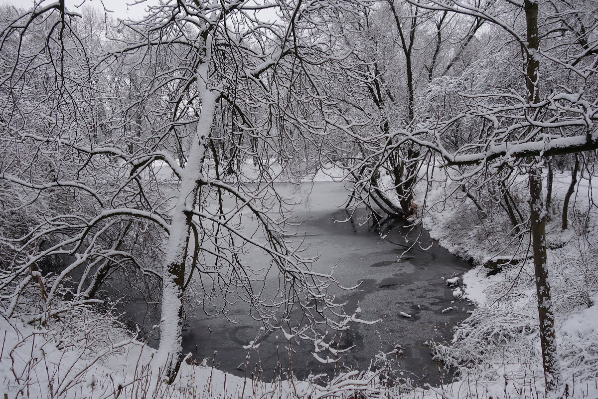 В зимнем парке - Маргарита Батырева