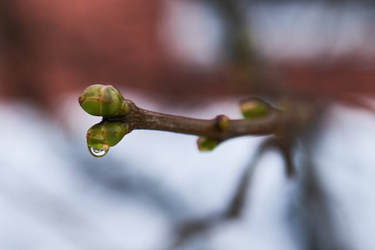 Весна близко! - Александр Шандов