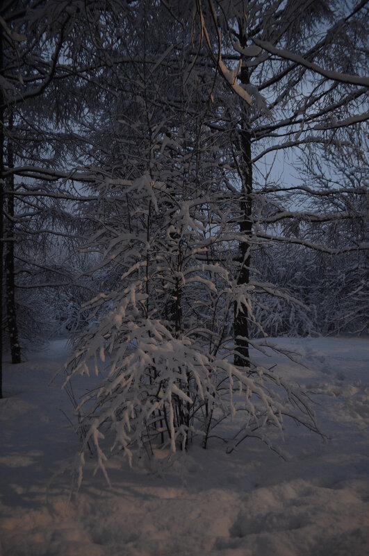 под снежным покровом - Галина R...