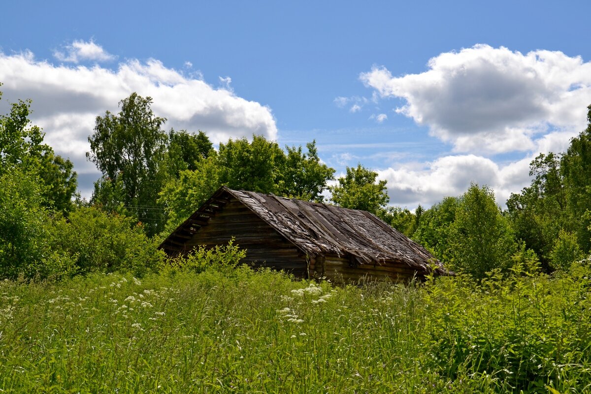 Село Сизьма. - Виктор Осипчук