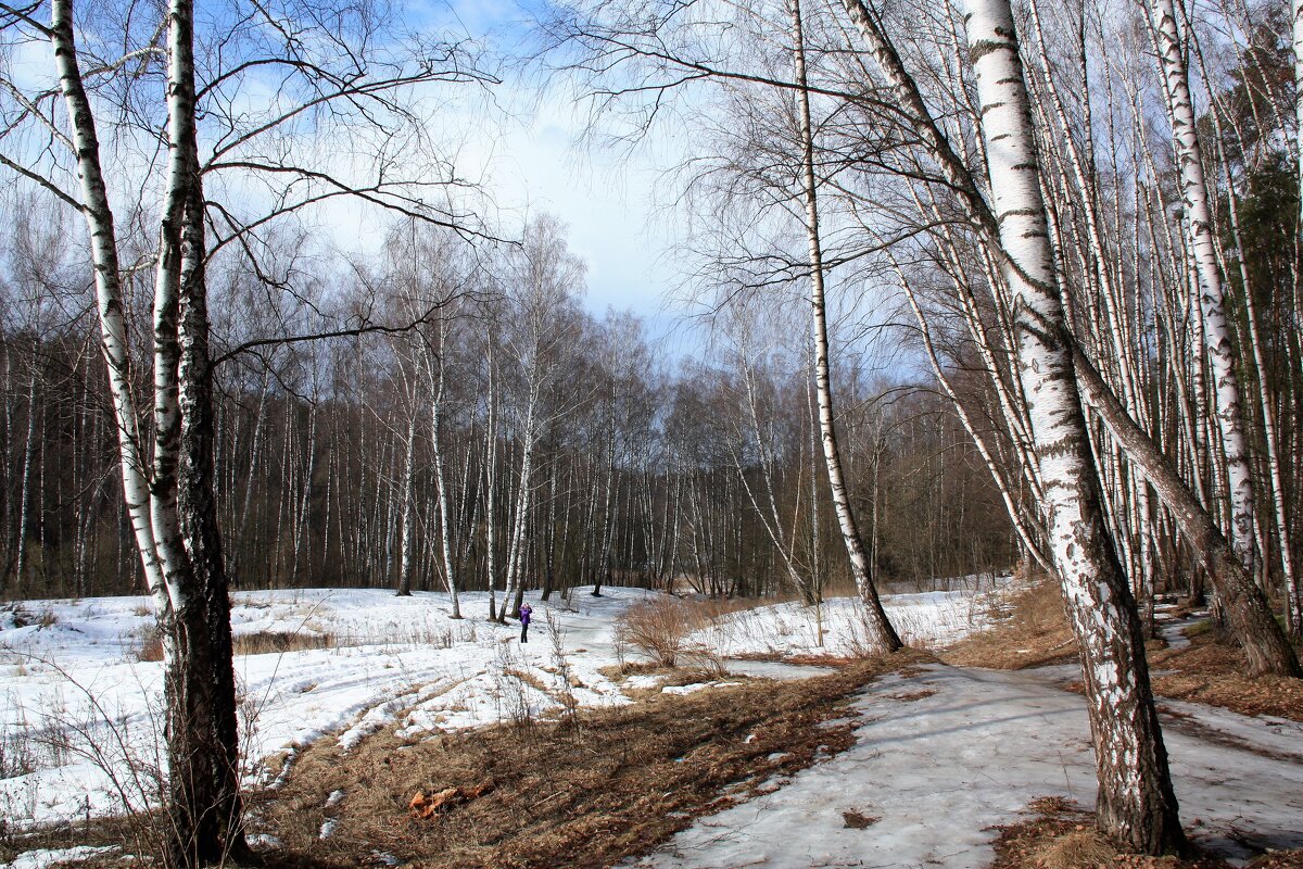 весна - Владимир Холодницкий