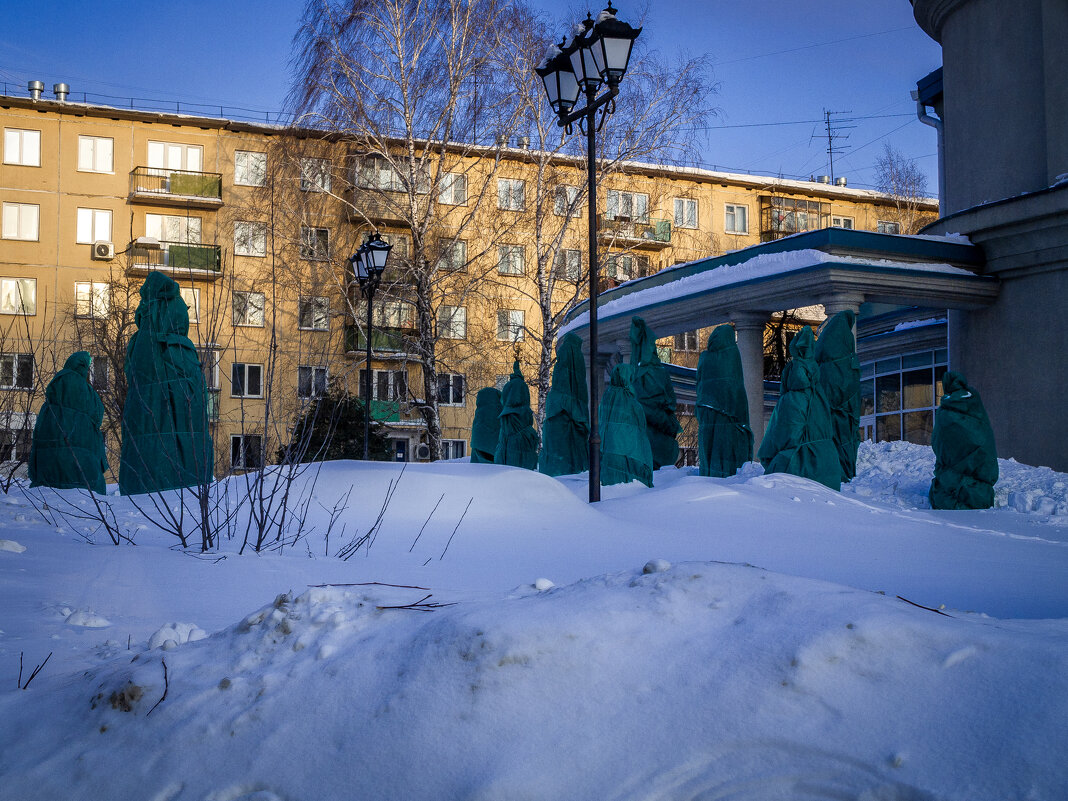 *** - Елена Берсенёва