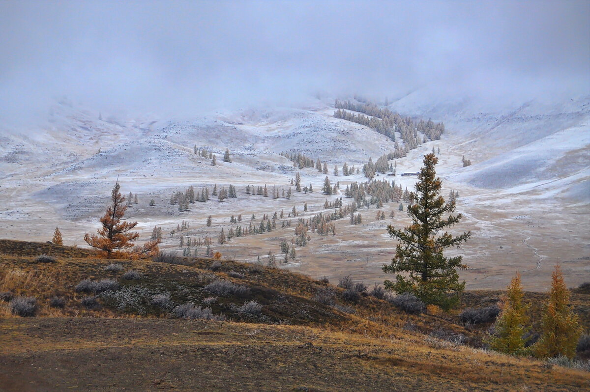 Ночью заглянула Зима... - Спартак Краснопевцев Ночью заглянула Зима... - Спартак Краснопевцев
