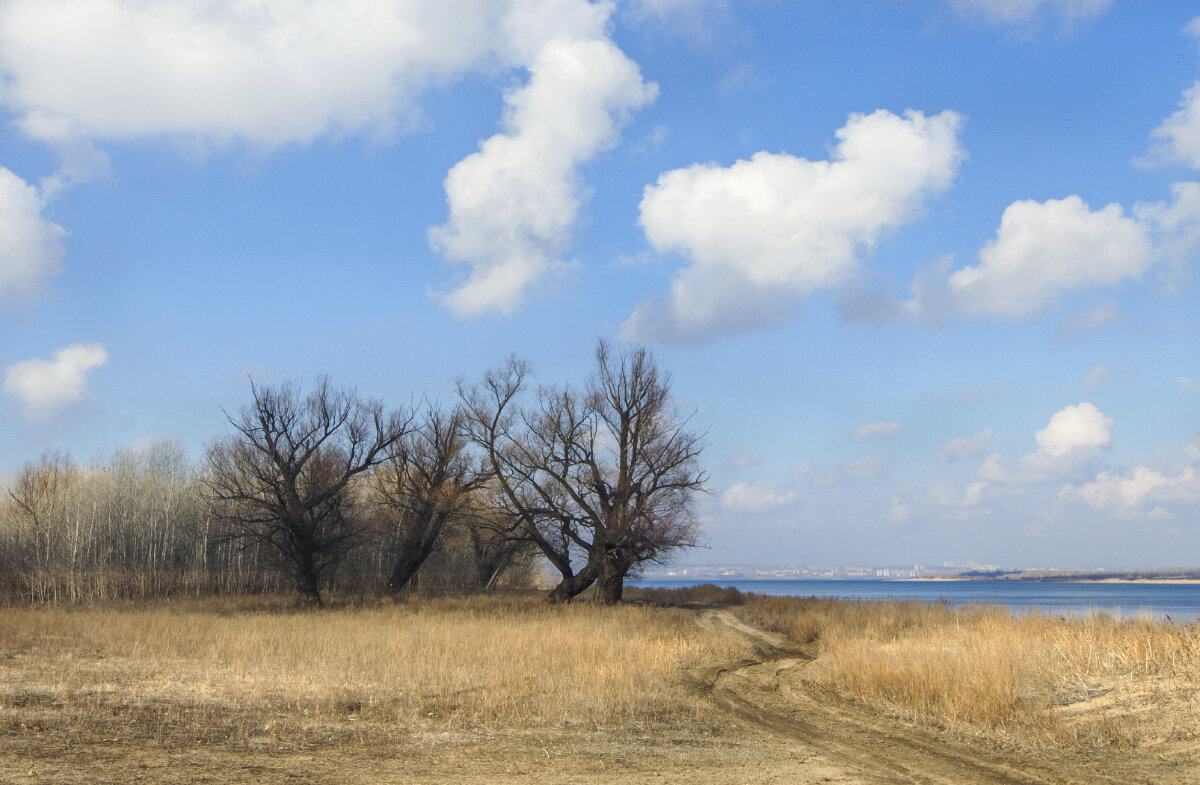 природа в марте - Александр 