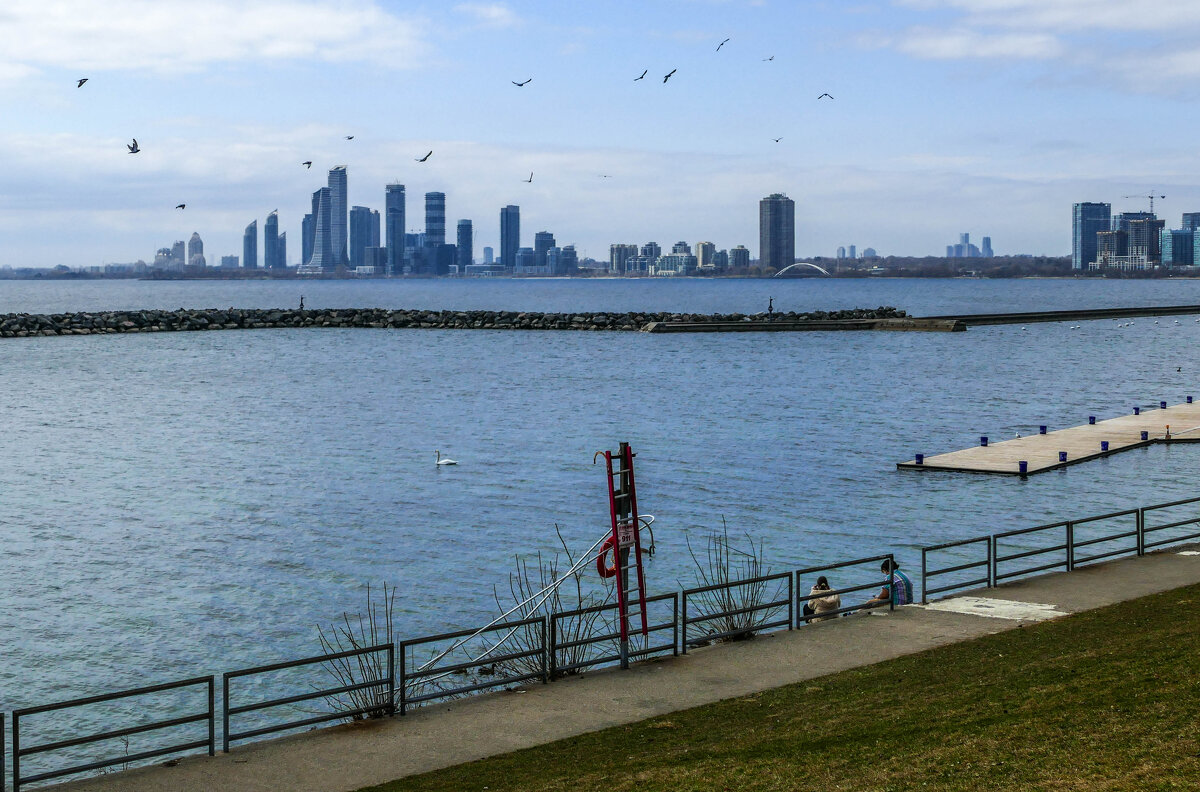 Залив оз. Онтарио, чайки над городом, волнорез и пирс - Юрий Поляков Залив оз. Онтарио, чайки над городом, волнорез и пирс - Юрий Поляков