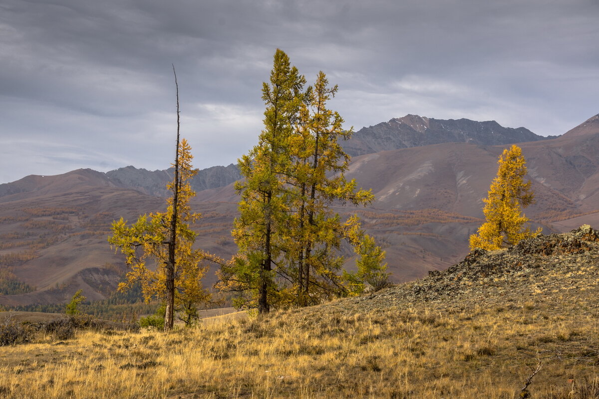 Курайский хребет - Виктор Четошников Курайский хребет - Виктор Четошников