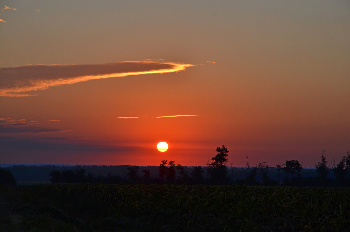 Утро - Валерий Пославский Утро - Валерий Пославский