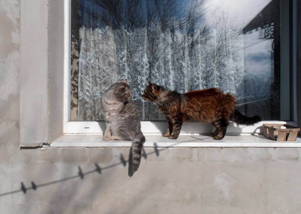 Вопросы - Наталья 