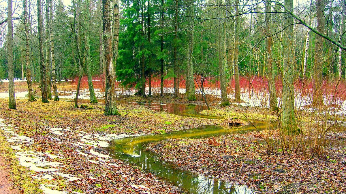 В парке весной - 3 - Сергей 