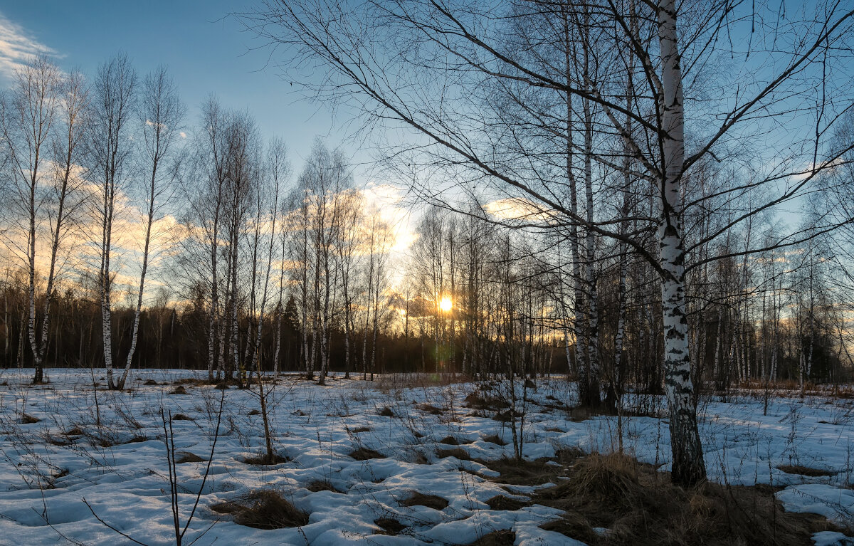Весна идёт - Олег Пученков