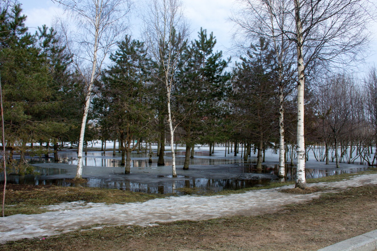 Весна в городе - Валентина Папилова