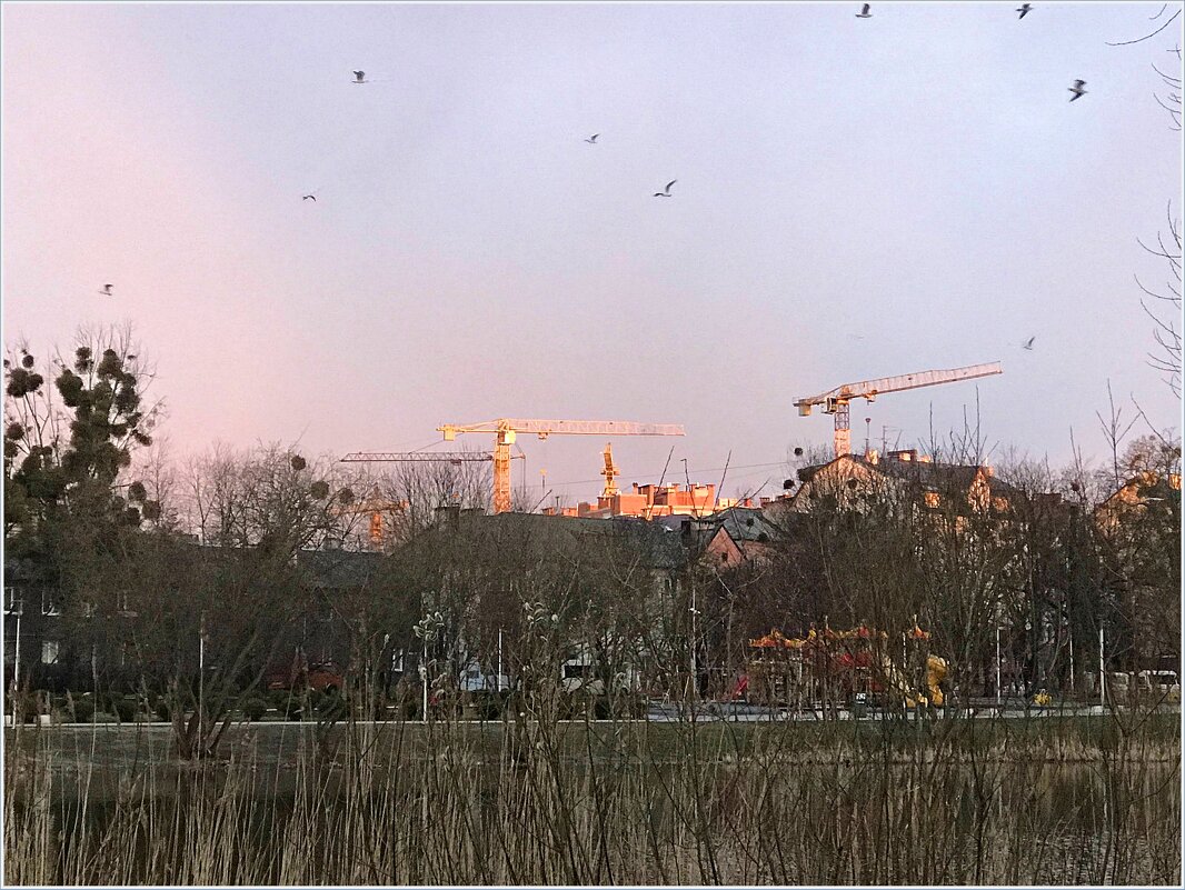 Рассвет у озера. - Валерия Комова Рассвет у озера. - Валерия Комова