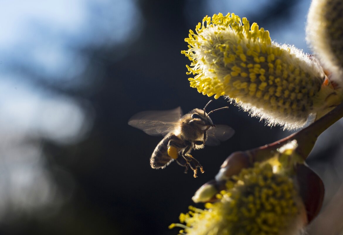 Работы не початый край.. - Александр Довгий