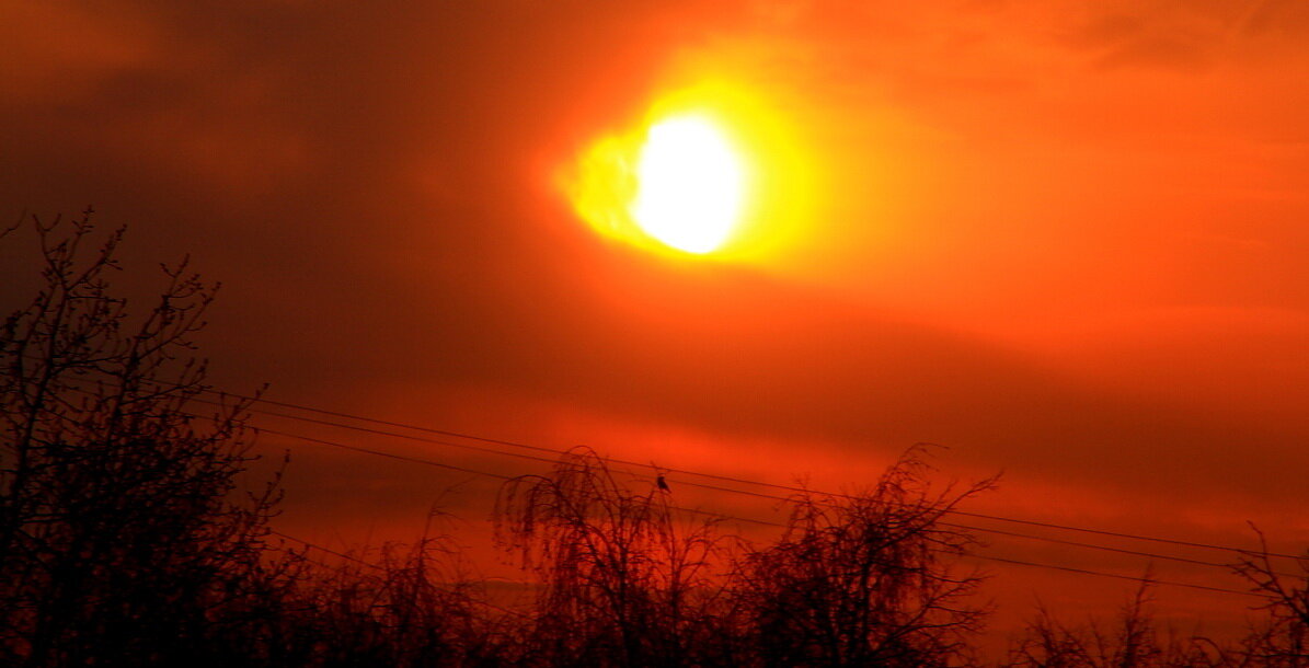 Я и маленькая птичка встречаем солнышко 15 апреля 6 утра - олег свирский Я и маленькая птичка встречаем солнышко 15 апреля 6 утра - олег свирский