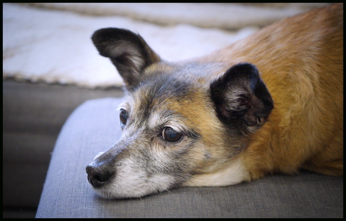 --- - Анна Приходько