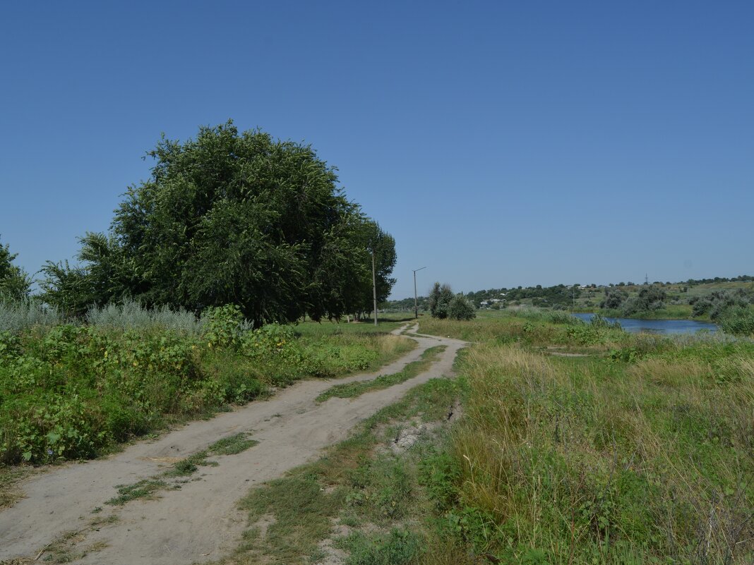 Новочеркасск. Дорога в пойме реки Грушевки. - Пётр Чернега