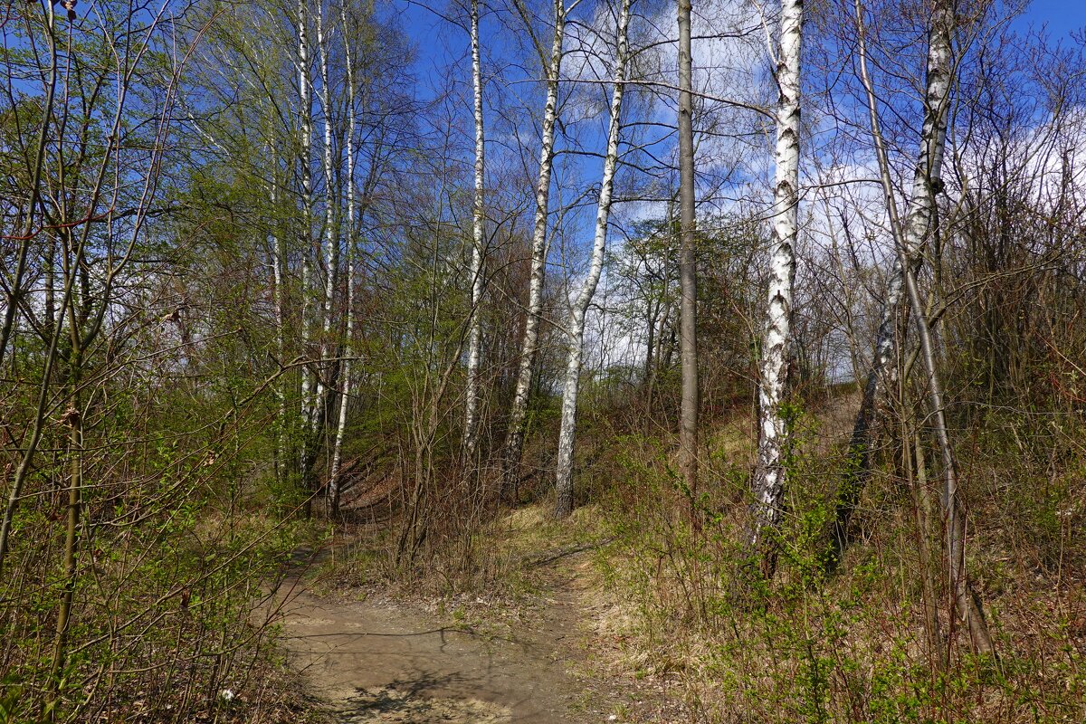 "Краски ярки у апреля..." - Galina Dzubina "Краски ярки у апреля..." - Galina Dzubina