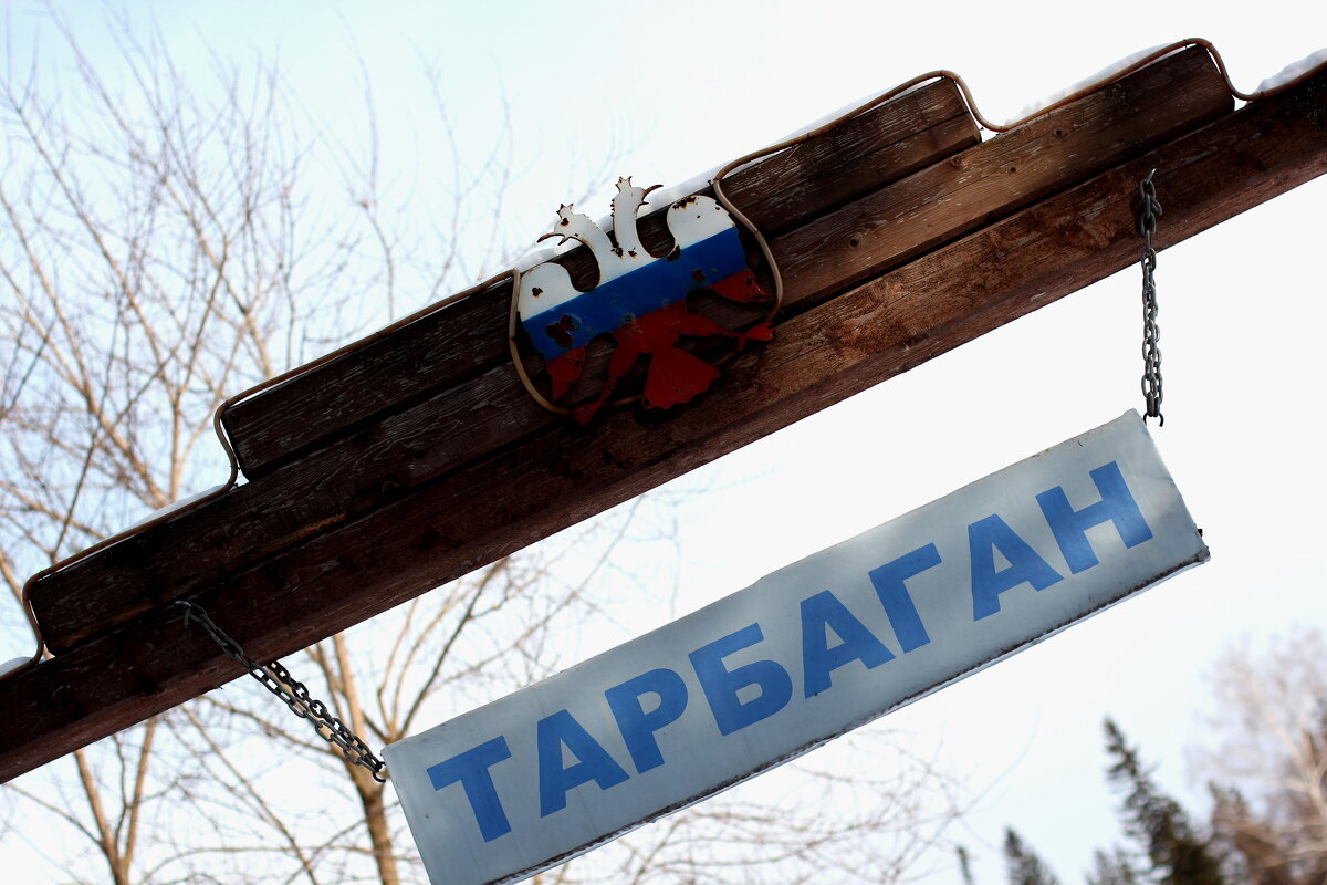 Тарбаган - Радмир Арсеньев