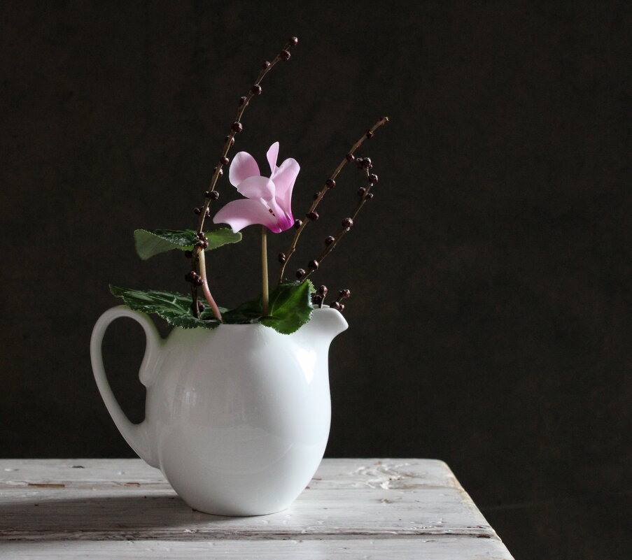 Цикламен. - Нина Сироткина 