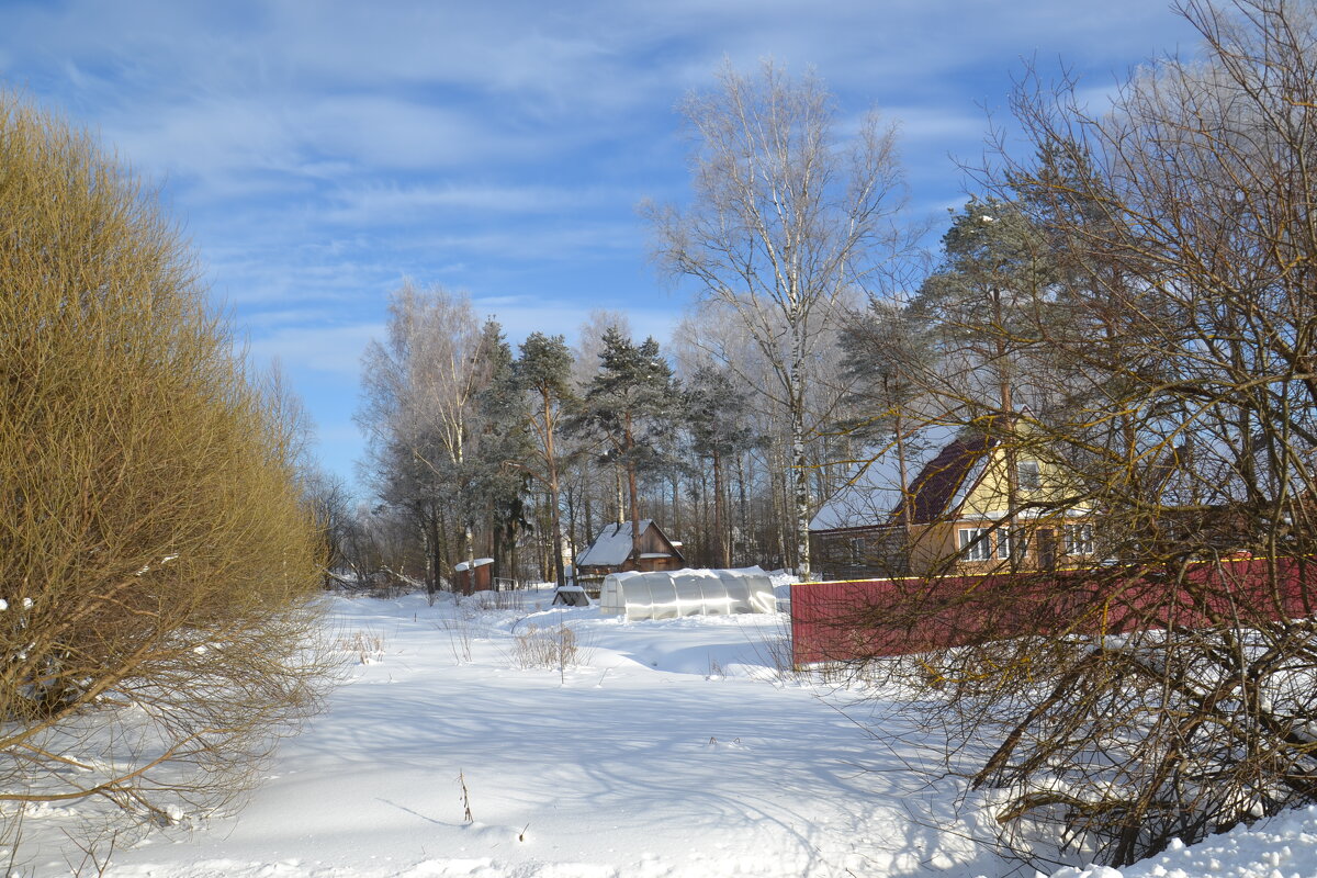 МОЯ ДЕРЕВНЯ. - Виктор Осипчук МОЯ ДЕРЕВНЯ. - Виктор Осипчук