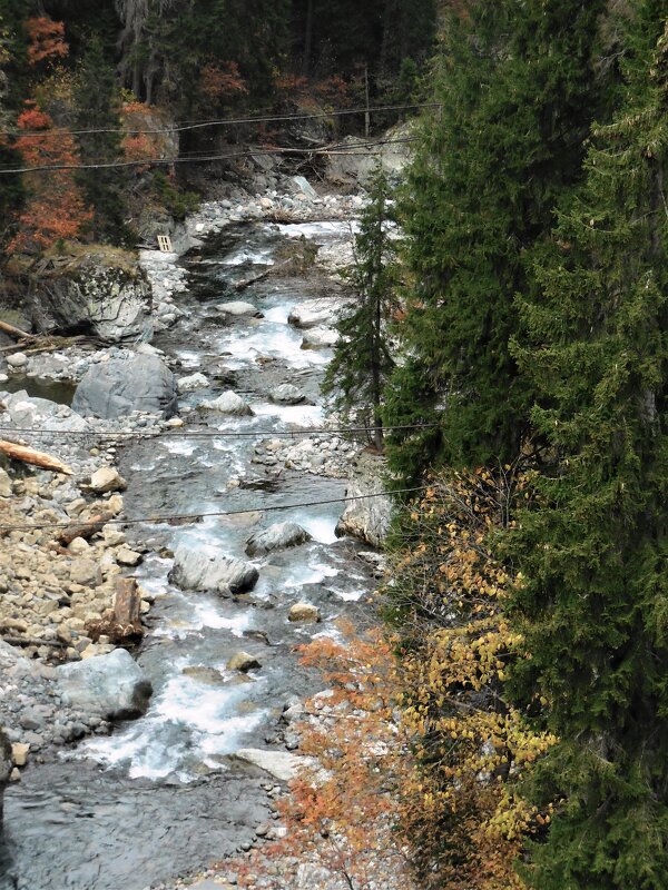 Картинки из Домбая. - viach Картинки из Домбая. - viach