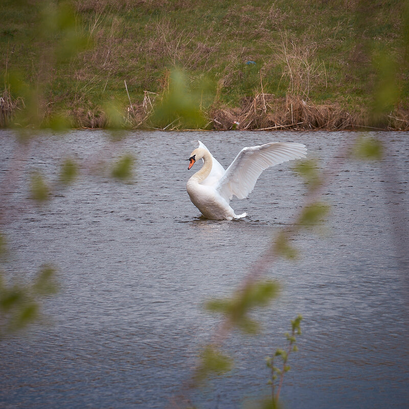 ... - Олег Архипов