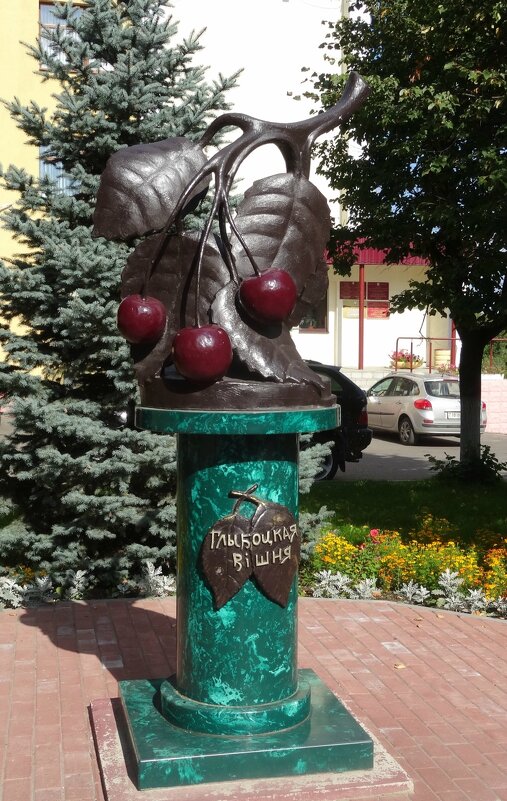 Глубокская вишня - PRP Глубокская вишня - PRP