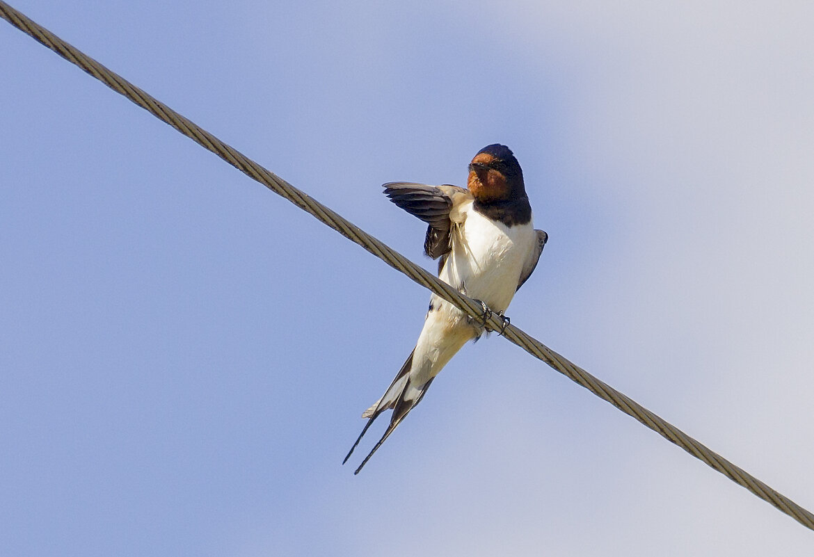 Вам туда - оксана 