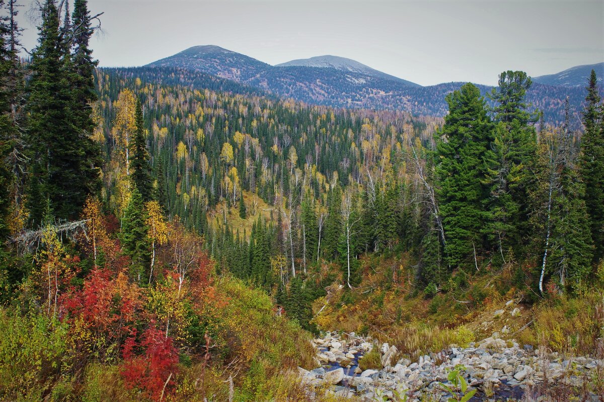 Сентябрь в горах - Сергей Чиняев Сентябрь в горах - Сергей Чиняев