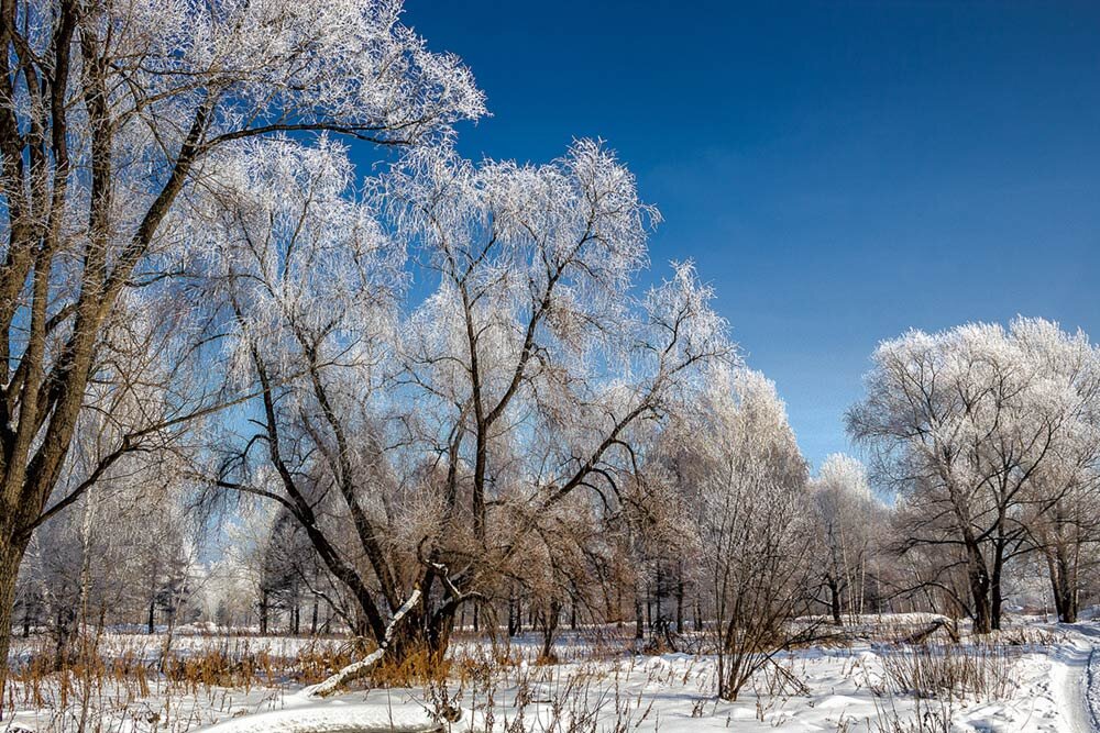 Куржак - SanSan 