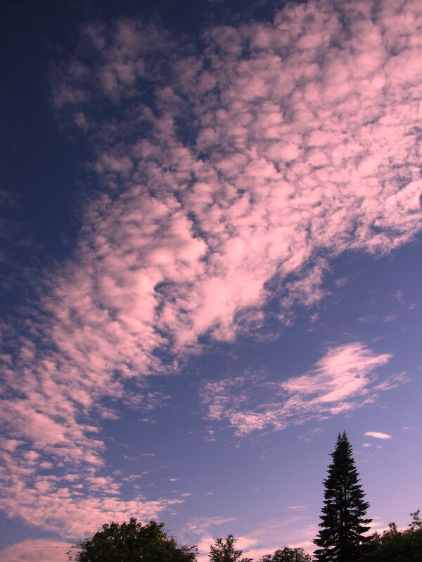 Облачный фейерверк - Людмила Смородинская
