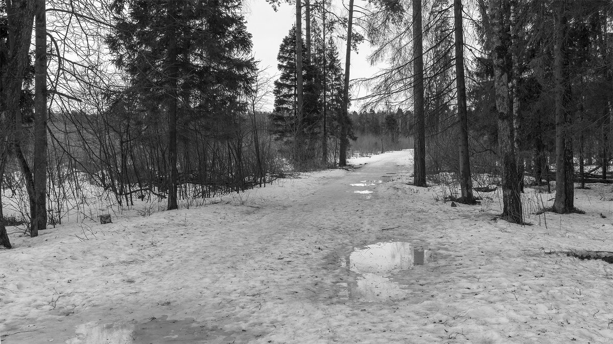 Весенняя оттепель. - Владимир Лазарев