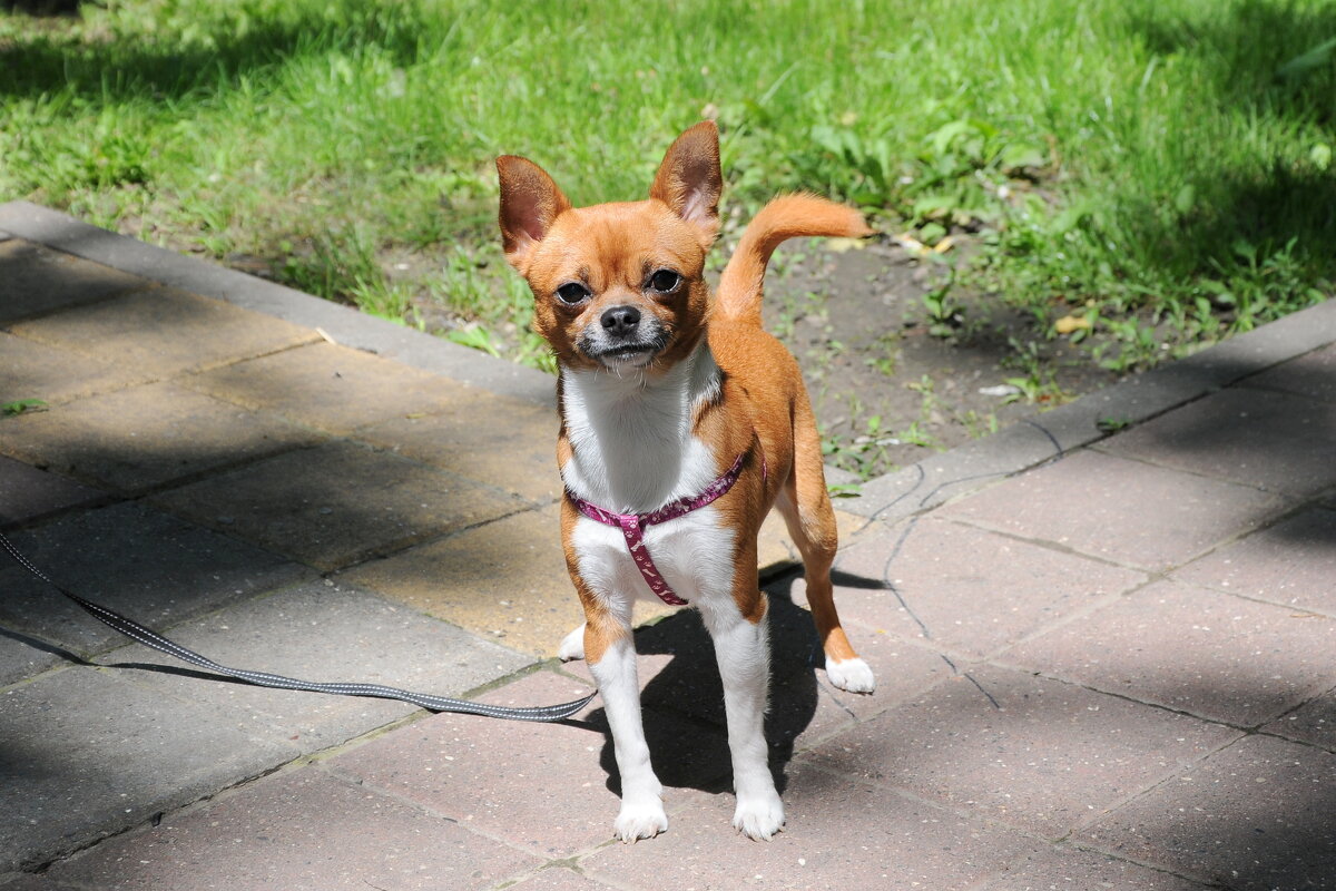 друг - Владимир друг - Владимир