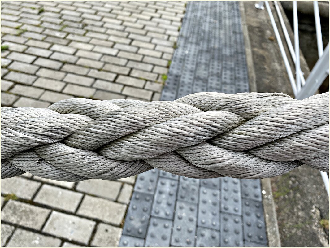 Музей Мирового океана. Канат. - Валерия Комова