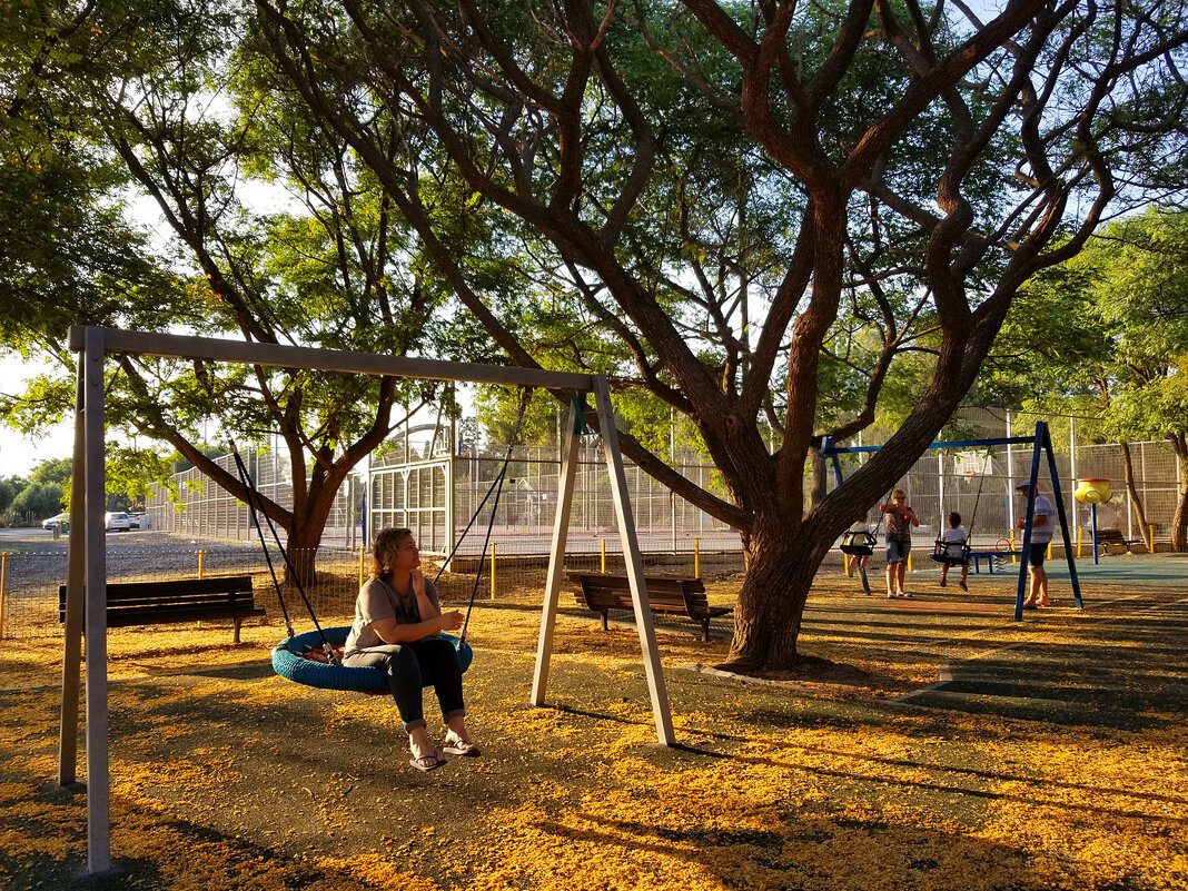 На детской площадке. - Светлана Хращевская