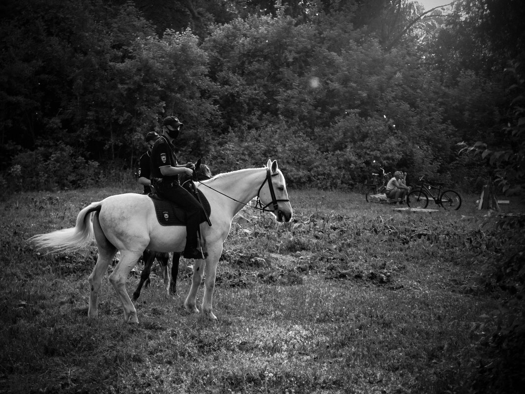 *** - Елена Берсенёва