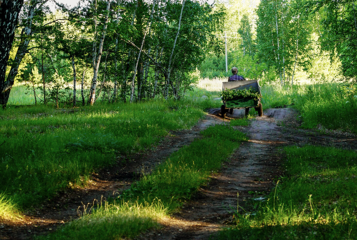 Плетёмся тихо - Сергей Царёв