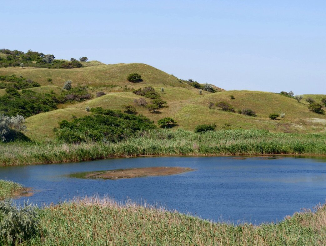 Маленькое озеро - Вера Щукина Маленькое озеро - Вера Щукина