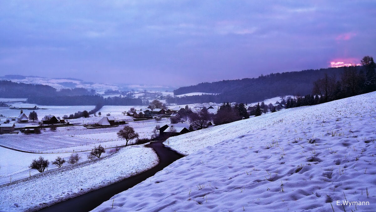 winter morning - Elena Wymann