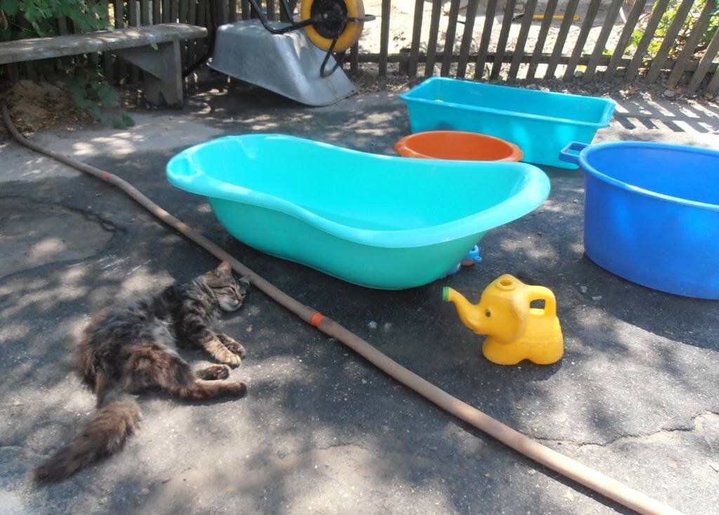 Жара... - Наталья Жара... - Наталья