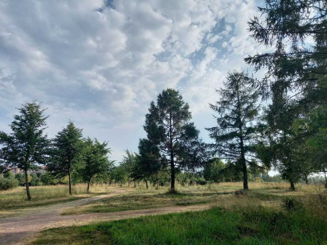 Лето - Сапсан 