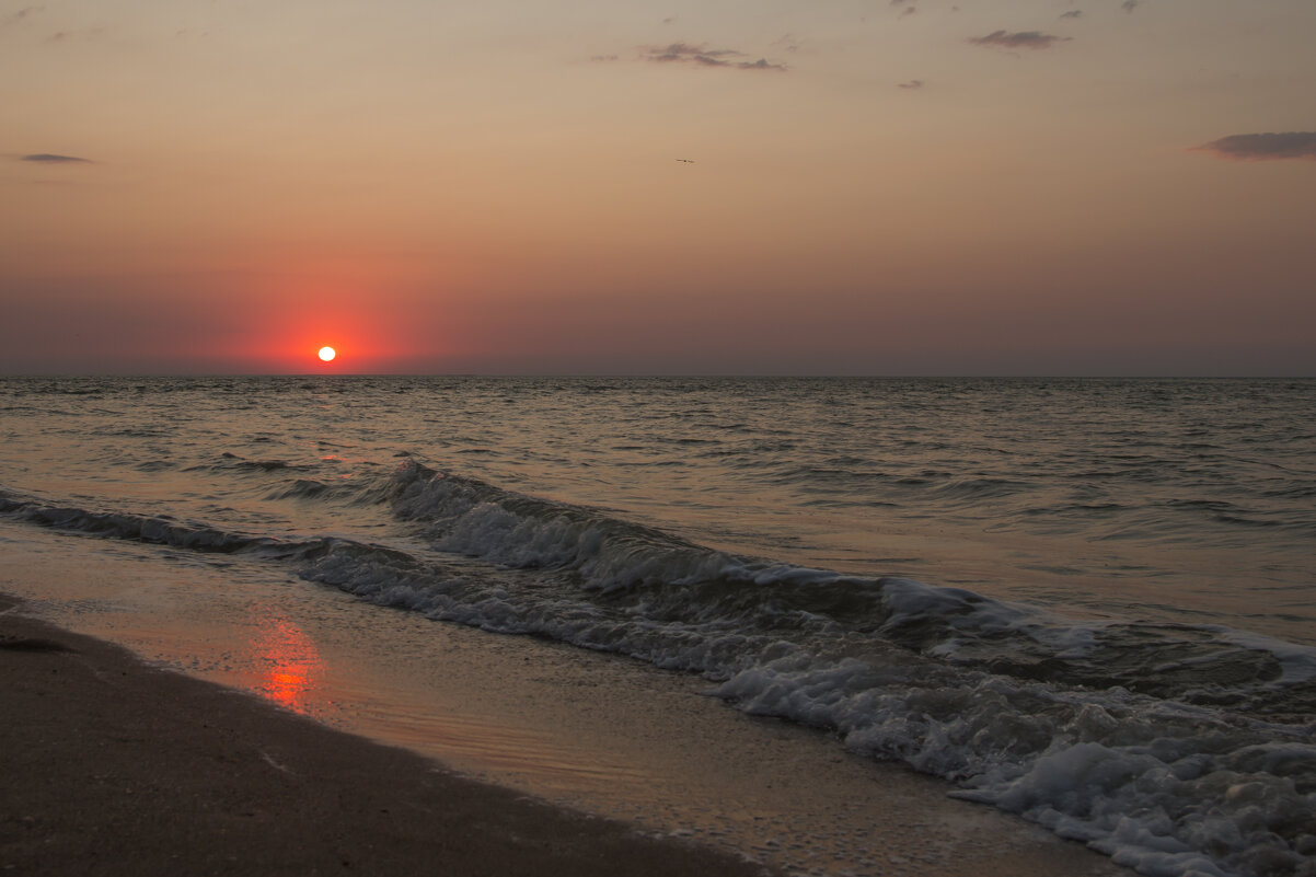 закат над косой Долгой - Дина Горбачева закат над косой Долгой - Дина Горбачева