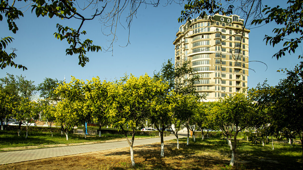 Сквер Актау - Анатолий Чикчирный