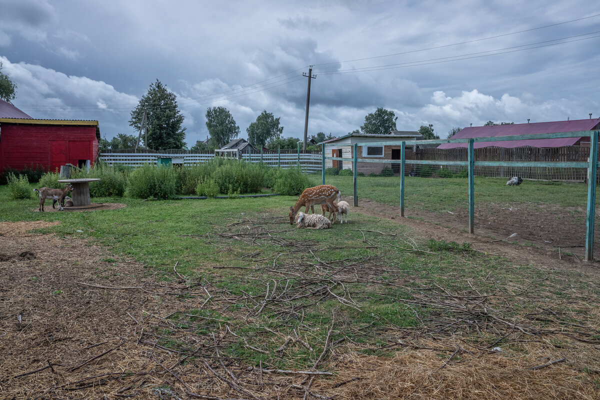 Толерантность... - Михаил "Skipper"