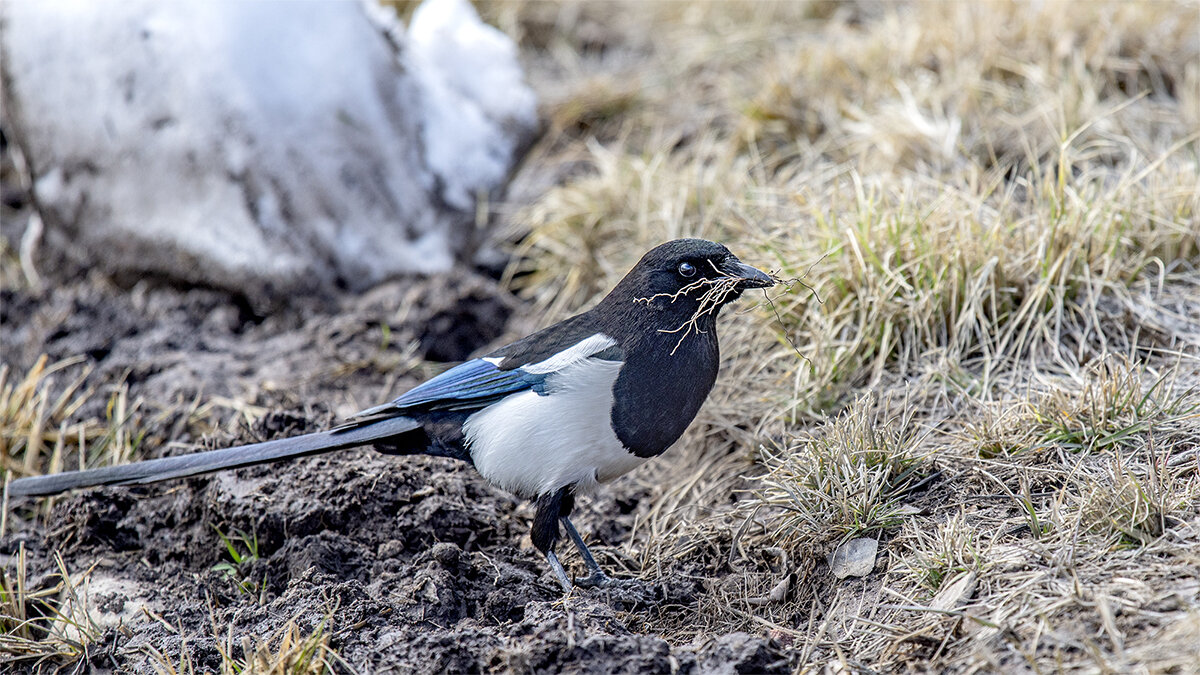 и что я у кого украла ? - Petr @+