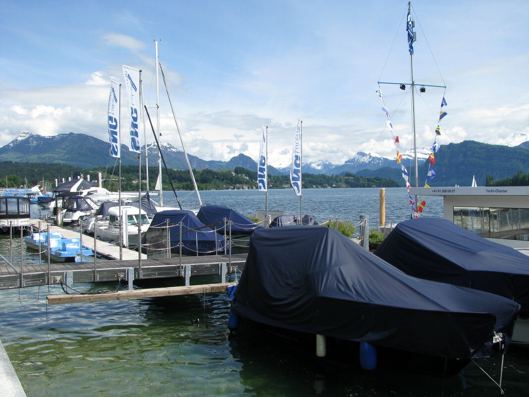 Люцерн. - Владимир Драгунский Люцерн. - Владимир Драгунский