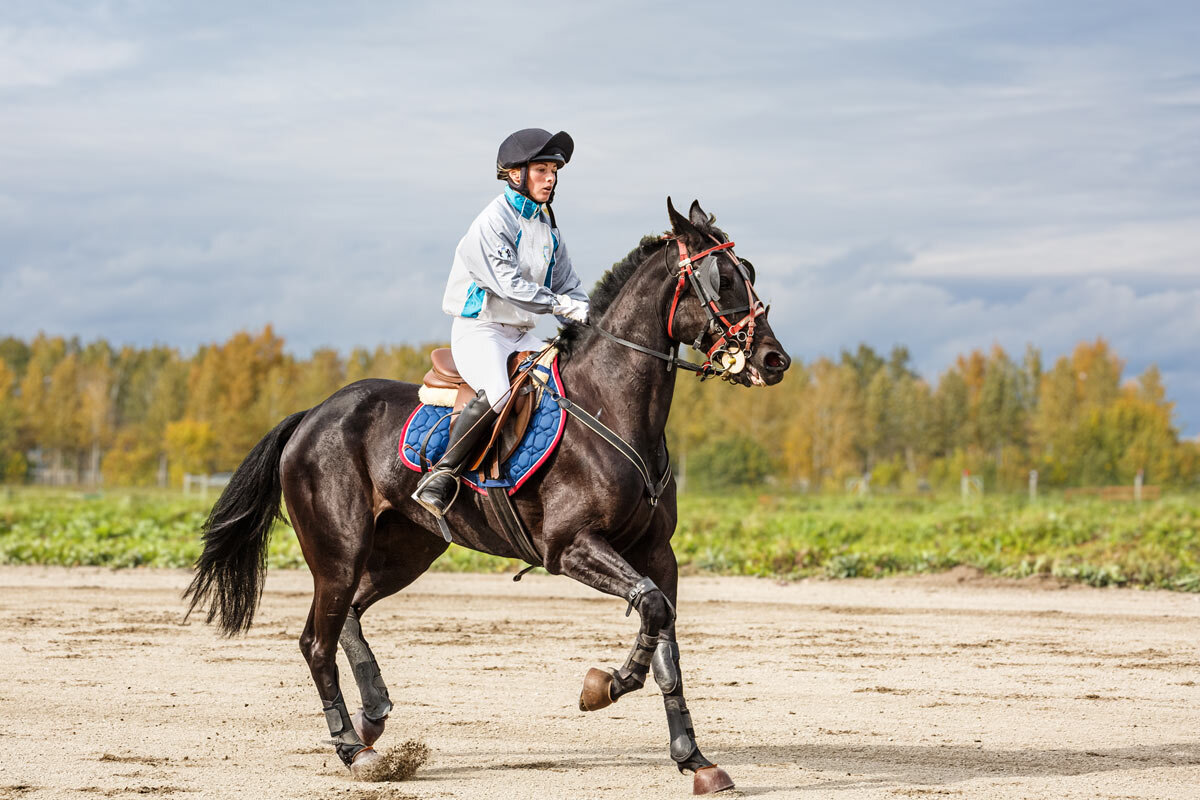 Захромала - SanSan 